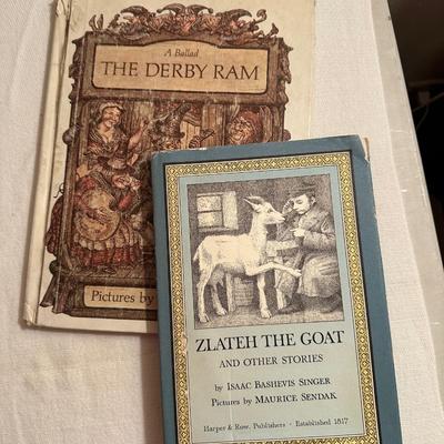 VINTAGE YOUNG ADULT BOOKS