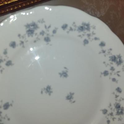 Johann Haviland Bavaria Germany Dinnerware