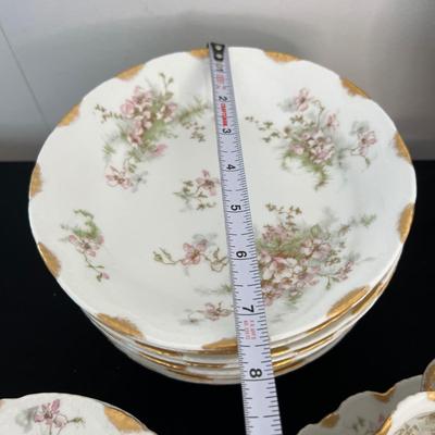 73 Pc. Antique Limoges France China Set - Theodore Haviland