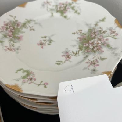 73 Pc. Antique Limoges France China Set - Theodore Haviland