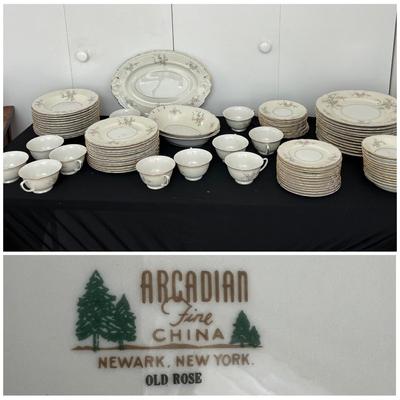 98 Pc. Arcadian Fine China Set "Old Rose"