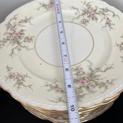 98 Pc. Arcadian Fine China Set "Old Rose"