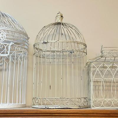 Three Decorative Birdcages (LR-SS)