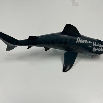 Jaws 2 Donna Wilkes signed shark. JSA