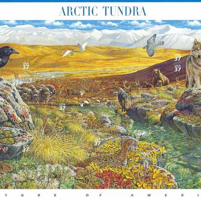 Nature of America: Arctic Tundra Stamps