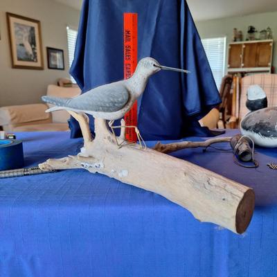 Sale Photo Thumbnail #17: Gray Bird on driftwood
