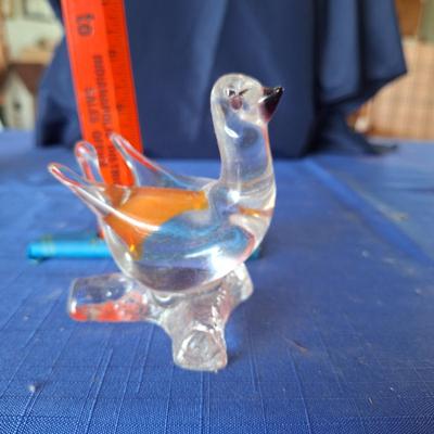 Glass Duck