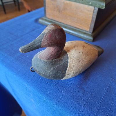 Vintage Redhead Duck