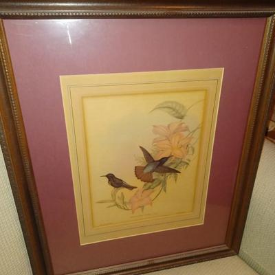 Bird Painting Set