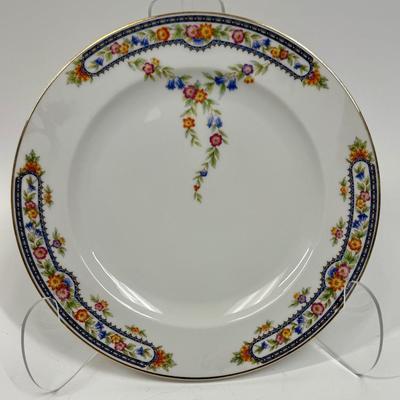 Vintage Hutschenreuther (pattern HUT349) Dinner Plate