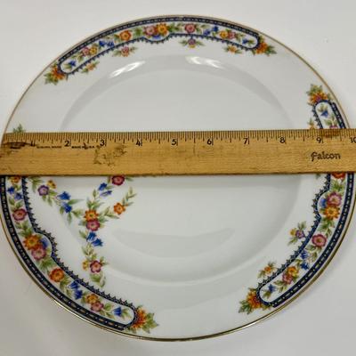Vintage Hutschenreuther (pattern HUT349) Dinner Plate