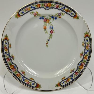Vintage Hutschenreuther (pattern HUT349) Dinner Plate
