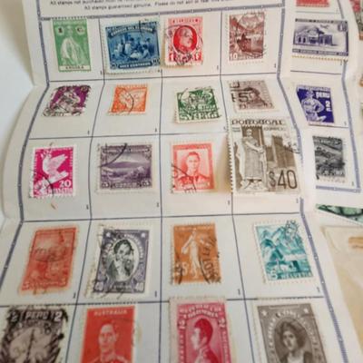 Mini International Stamp Collection