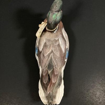 LOT 244: Collection of Signed Decorative Ducks - Canvasback by Andrea (Andrea by Sadek), Wildlife N' Wood By Carol Burns and More