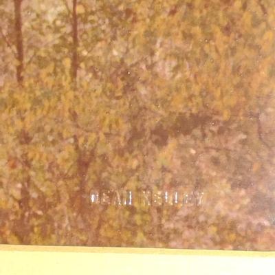 Framed Photograph- Trees in Fall- By Dean Nelley- Approx 26 1/4" x 22"