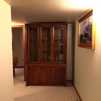 BEAUTIFUL LIGHTED DISPLAY CABINET