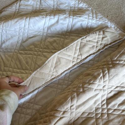 Surefit Dog Slip Cover and Steps (PB-DZ)