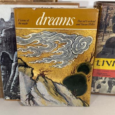 LOT 34Y: Vintage Chinese Books & More