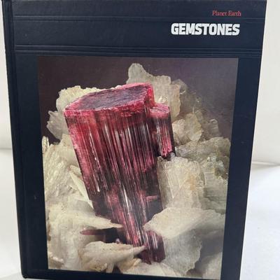 LOT 63X: Time Life: Planet Earth Book Ser