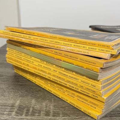 LOT 110L: Vintage Magazines: National Geographic, American Bystander & CoEvolution