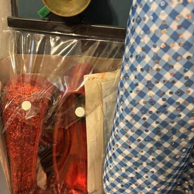 Dorothy Costume