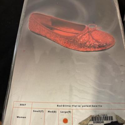 Dorothy Costume