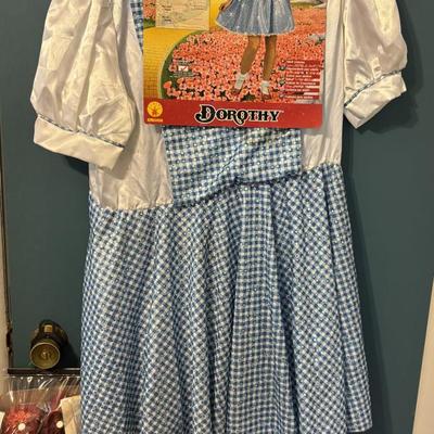 Dorothy Costume
