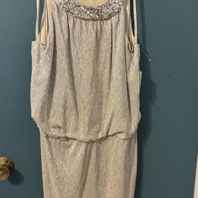 Size 16 Dress