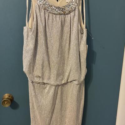 Size 16 Dress