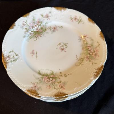 Limoges 46 Piece China Set (K-BM)