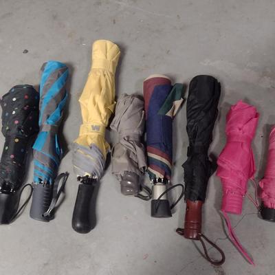 Collection of Umbrellas (G)