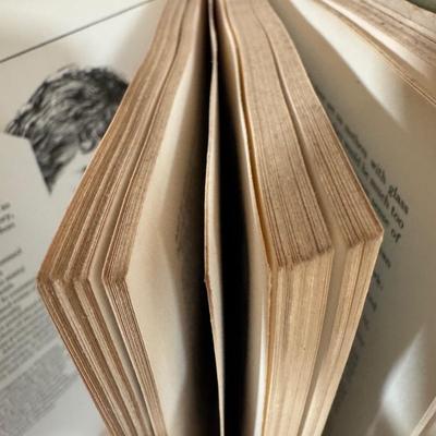 Lot 56L: Assorted Children’s Books from Dr Seuss, Shel Silverstein, and More!