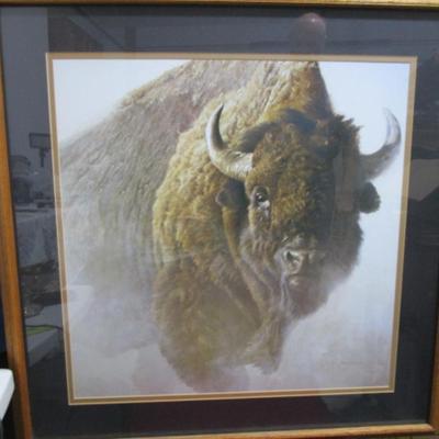 Framed picture "Chief" by Robert Bateman