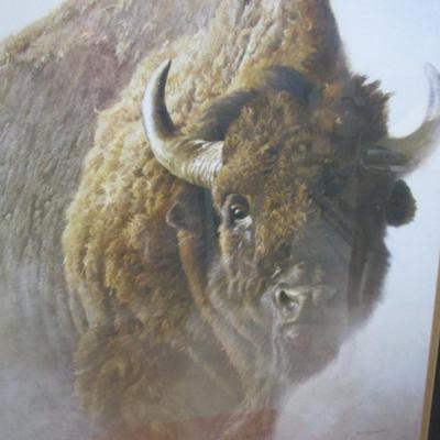 Framed picture "Chief" by Robert Bateman