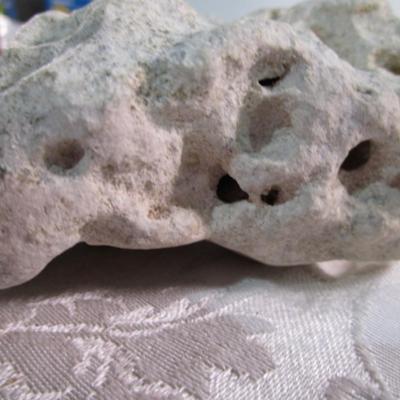 Texas holey rock for aquarium