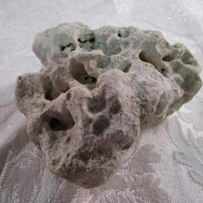 Texas holey rock for aquarium
