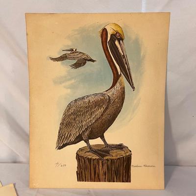 Hand Carved Manatee Plus Nautical Prints Inc. Signed (GB-RG)