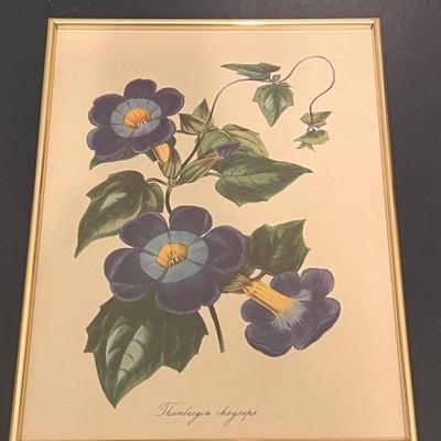 Botanical Prints in Sets of Two (GB-RG)