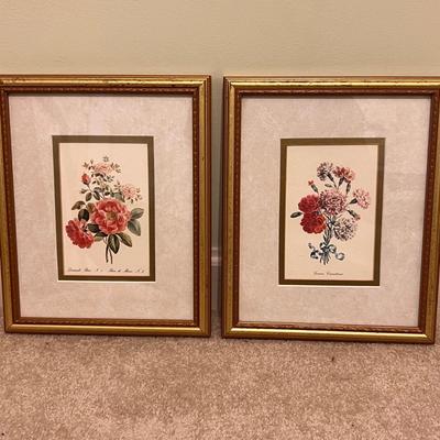 Botanical Prints in Sets of Two (GB-RG)