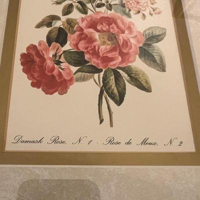 Botanical Prints in Sets of Two (GB-RG)