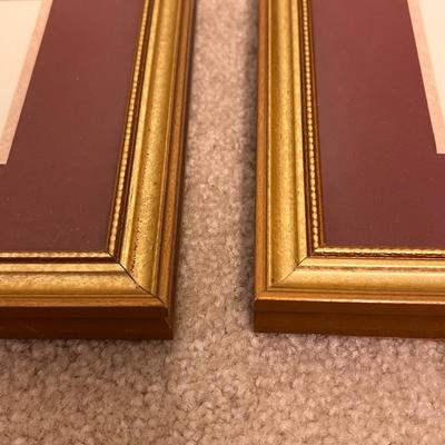 Botanical Prints in Sets of Two (GB-RG)