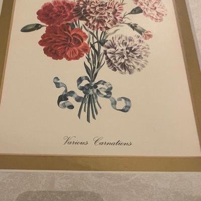 Botanical Prints in Sets of Two (GB-RG)