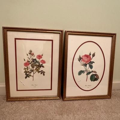 Botanical Prints in Sets of Two (GB-RG)