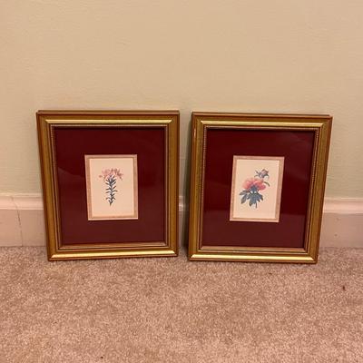 Botanical Prints in Sets of Two (GB-RG)