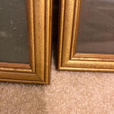 Botanical Prints in Sets of Two (GB-RG)