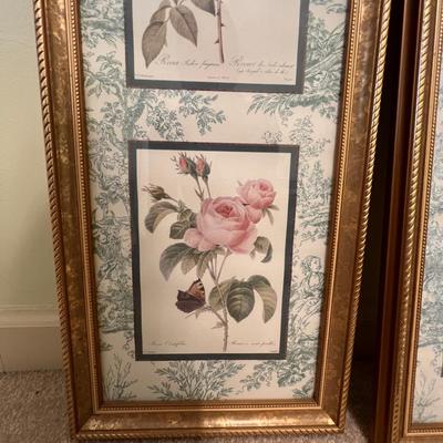 Botanical Prints in Sets of Two (GB-RG)