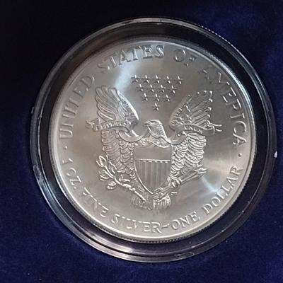 2000 American Eagle in Color Silver Dollar Coin (#5)