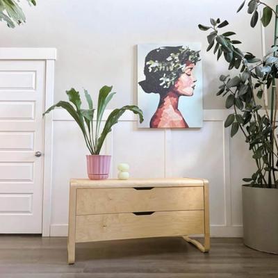 Circa 2000 Discontinued 2-Drawer Bent Birch Plywood Bentwood Ånes Low Dresser by Elhèn Johansson for IKEA