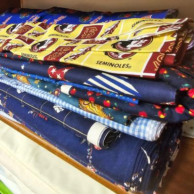 Large Fabric Lot # 2 (BF1-JS)