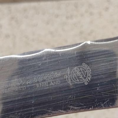 Lewis Rose & Co Sheffield, England Stag Handle Carving Set